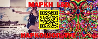 мет Кингисепп