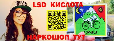 мет Кингисепп