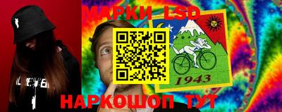 стаф Кинель