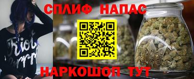 мет Кингисепп