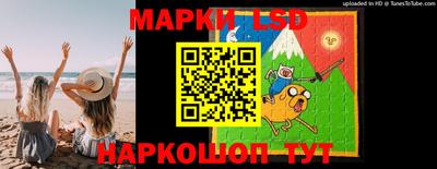 стаф Кинель