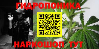 стаф Кинель