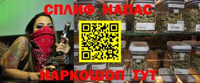 мет Кингисепп